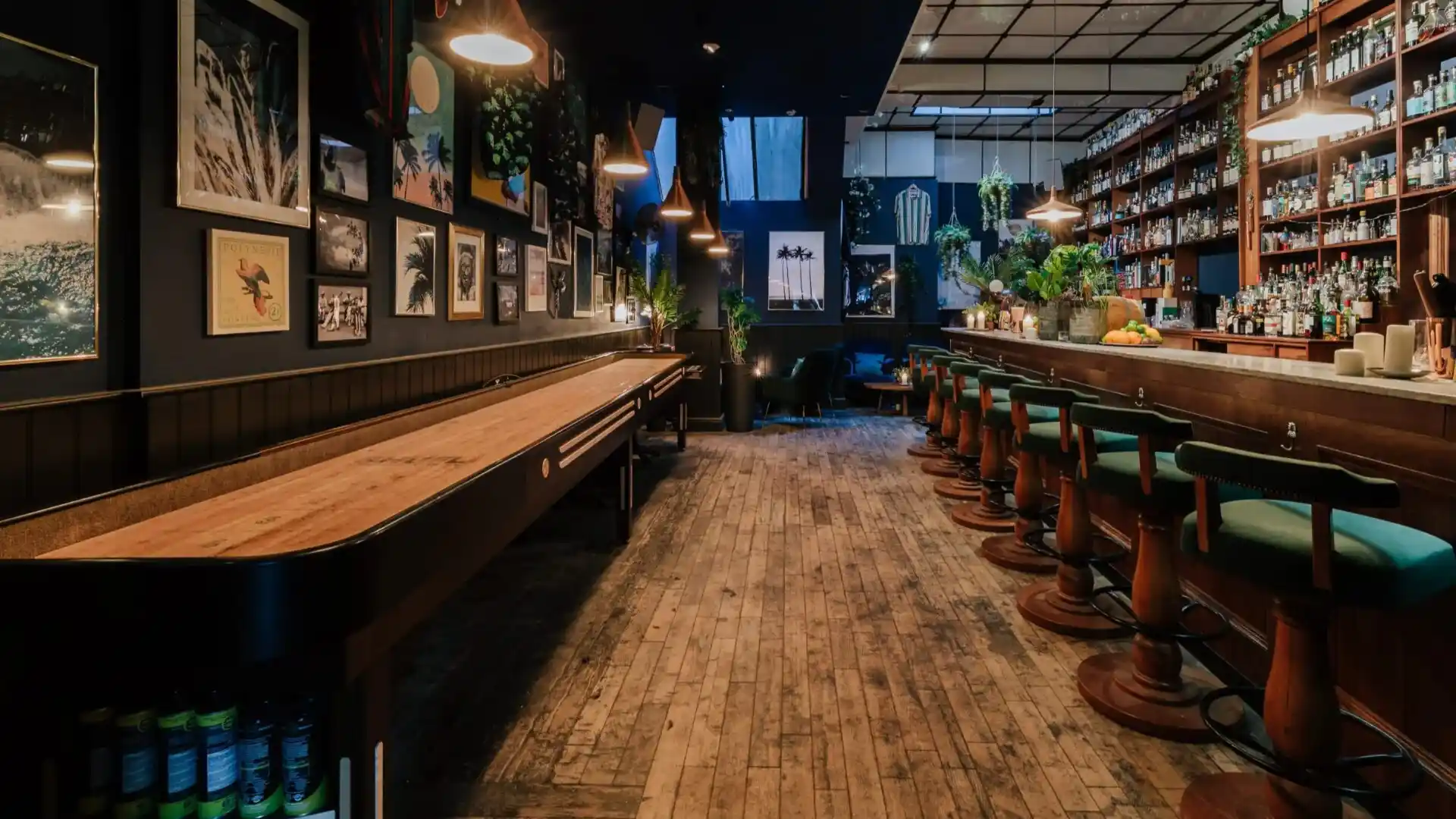 Dimly lit, intimate space showing greenery and multiple images on the walls